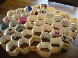 Picture of completed Honeycomb project