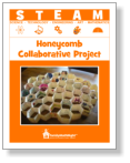 Honeycomb image